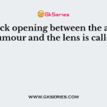 The black opening between the aqueous humour and the lens is called