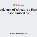 The black rust of wheat is a fungal disease caused by