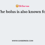 The bolus is also known for