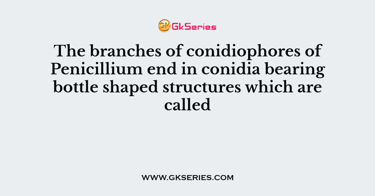 The branches of conidiophores of Penicillium end in conidia bearing bottle shaped structures which are called