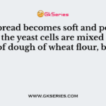 The bread becomes soft and porous when the yeast cells are mixed in the lump of dough of wheat flour, because