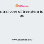 The central core of tree stem is known as