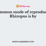 The common mode of reproduction in Rhizopus is by