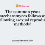 The common yeast Schizosaccharomyces follows which of the following asexual reproduction methods?
