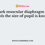 The dark muscular diaphragm which controls the size of pupil is known as