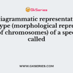 The diagrammatic representation of karyotype (morphological representation of chromosomes) of a species is called