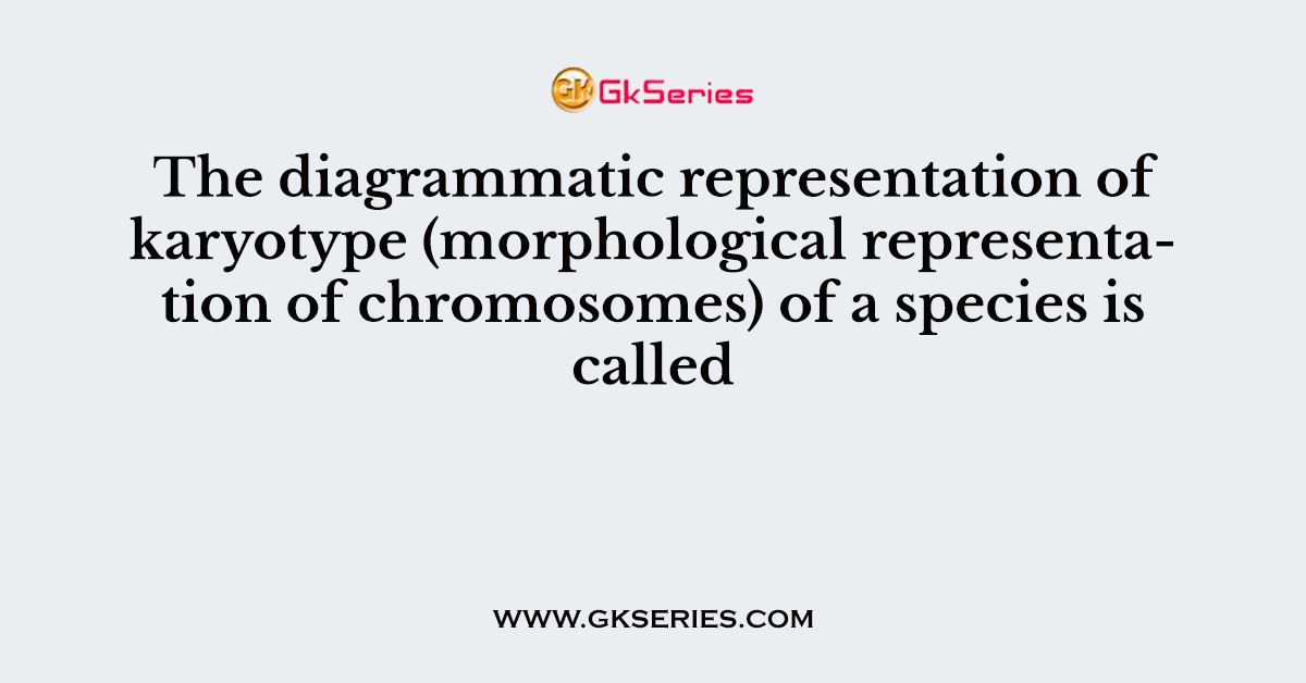 The diagrammatic representation of karyotype (morphological representation of chromosomes) of a species is called