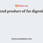 The end product of fat digestion is