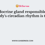 The endocrine gland responsible for the body's circadian rhythm is the
