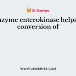 The enzyme enterokinase helps in the conversion of