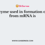 The enzyme used in formation of cDNA from mRNA is