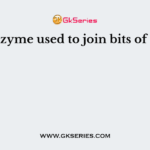 The enzyme used to join bits of DNA is