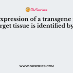 The expression of a transgene in the target tissue is identified by a
