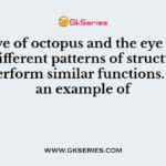 The eye of octopus and the eye of cats show different patterns of structure, yet they perform similar functions. This is an example of