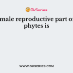 The female reproductive part of bryophytes is