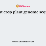 The first crop plant genome sequenced