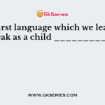 The first language which we learn or speak as a child ___________