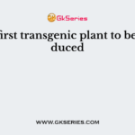 The first transgenic plant to be produced