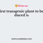 The first transgenic plant to be produced is