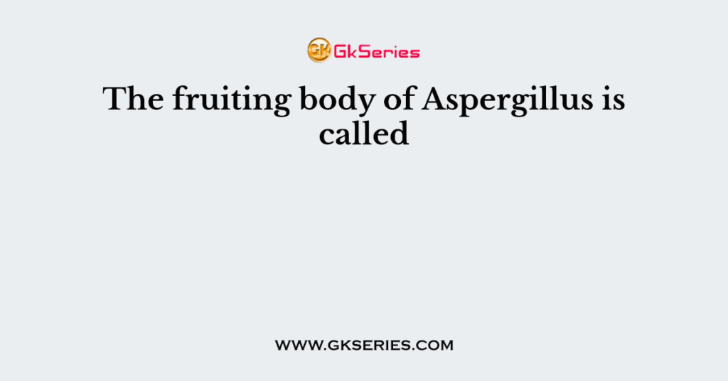 The fruiting body of Aspergillus is called
