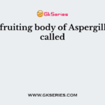 The fruiting body of Aspergillus is called