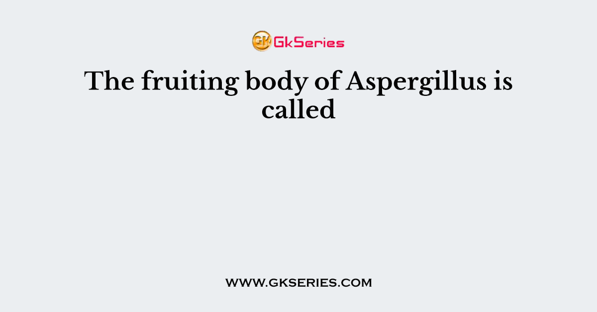 The fruiting body of Aspergillus is called