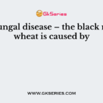 The fungal disease – the black rust of wheat is caused by