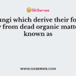 The fungi which derive their food directly from dead organic matter are known as
