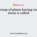 The group of plants having vascular tissue is called