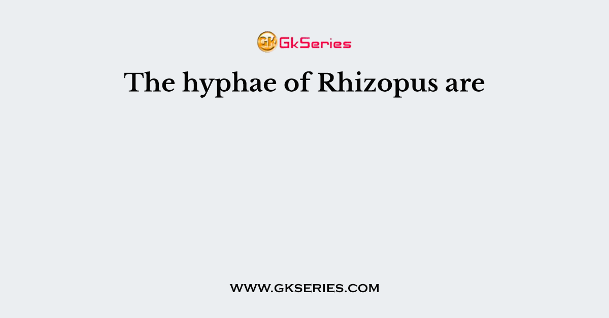 The hyphae of Rhizopus are