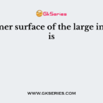 The inner surface of the large intestine is