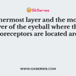 The innermost layer and the most delicate layer of the eyeball where the photoreceptors are located are