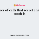 The layer of cells that secret enamel of tooth is