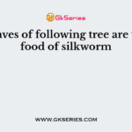 The leaves of following tree are used as food of silkworm