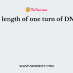 The length of one turn of DNA is