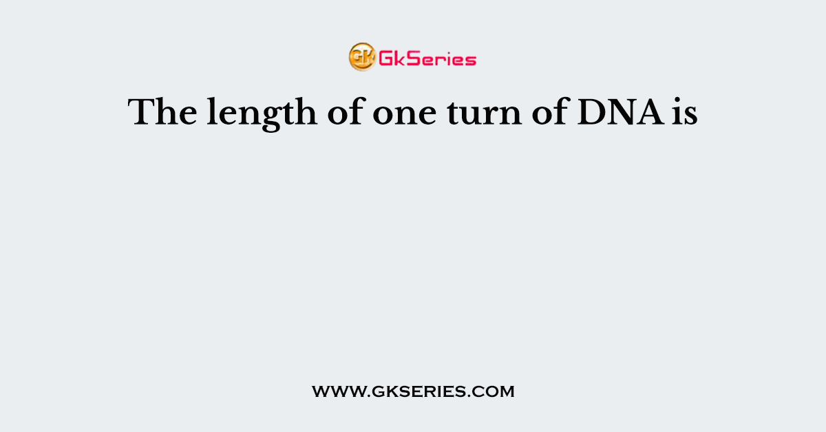 The length of one turn of DNA is