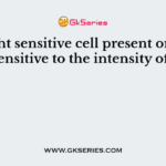 The light sensitive cell present on retina and is sensitive to the intensity of light is