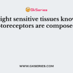 The light sensitive tissues known as photoreceptors are composed in