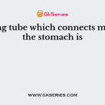 The long tube which connects mouth to the stomach is