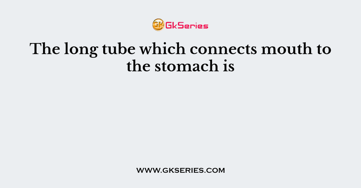 The long tube which connects mouth to the stomach is