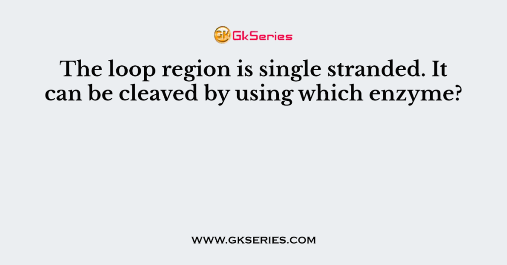 The loop region is single stranded. It can be cleaved by using which enzyme?