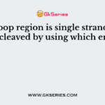 The loop region is single stranded. It can be cleaved by using which enzyme?