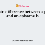 The main difference between a plasmid and an episome is