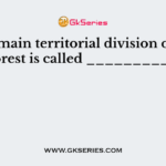The main territorial division of the forest is called __________