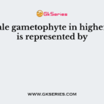 The male gametophyte in higher plants is represented by