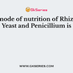 The mode of nutrition of Rhizopus, Yeast and Penicillium is