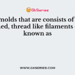The molds that are consists of long, branched, thread like filaments of cells known as