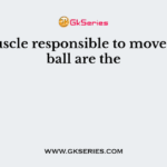 The muscle responsible to move the eye ball are the