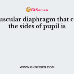 The muscular diaphragm that controls the sides of pupil is