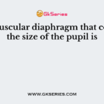The muscular diaphragm that controls the size of the pupil is